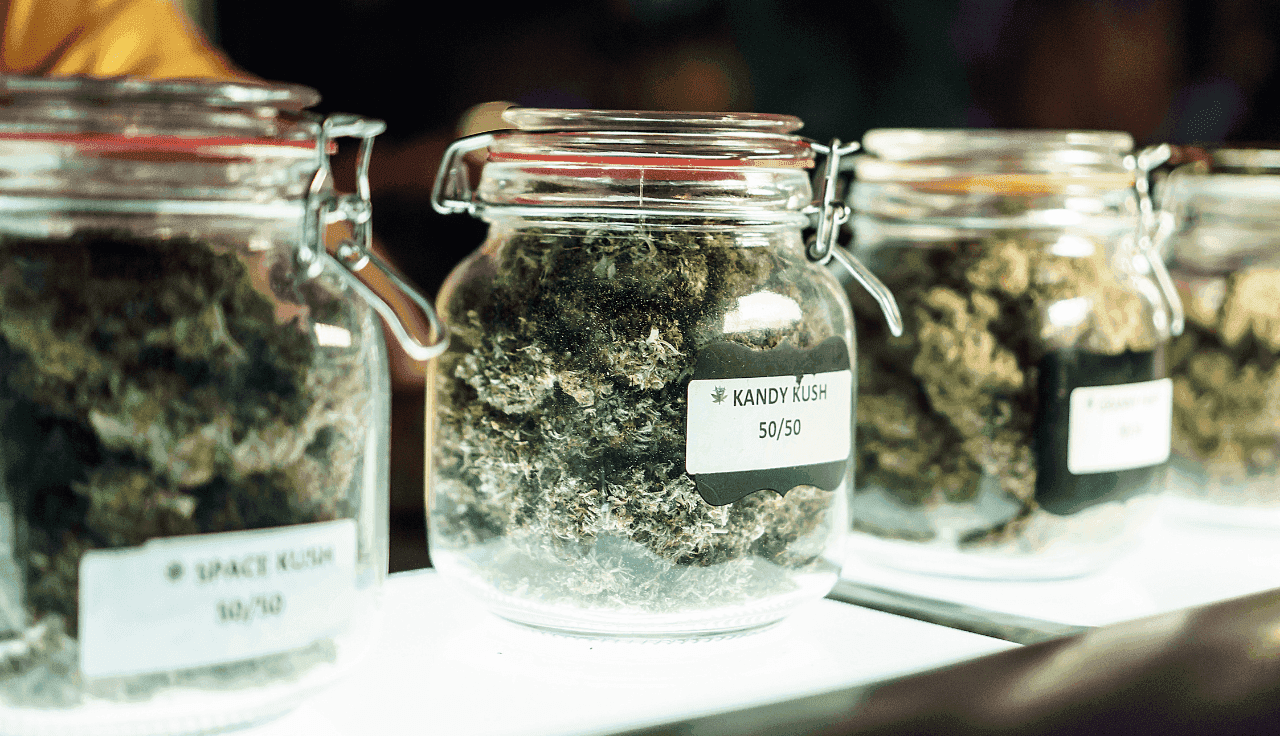 Cannabisblüte in einem Glas